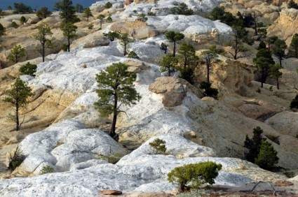 rochas de paisagem do Novo México