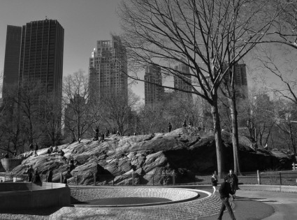 ニューヨーク市のセントラルパークの黒と白