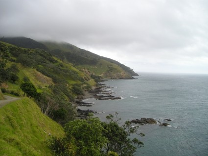 ニュージーランドの海岸の緑