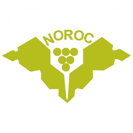 Noroc Moldova