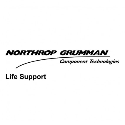 northrop grumman logo vector