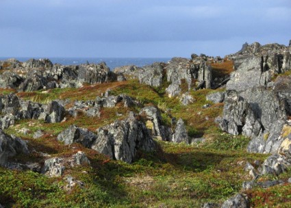 skalista krajobraz Norwegia