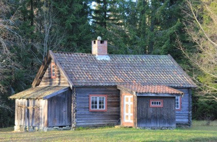 floresta de cabana de Noruega