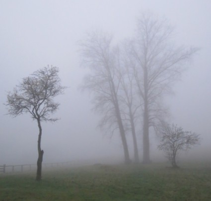 Tháng mười một sương mù