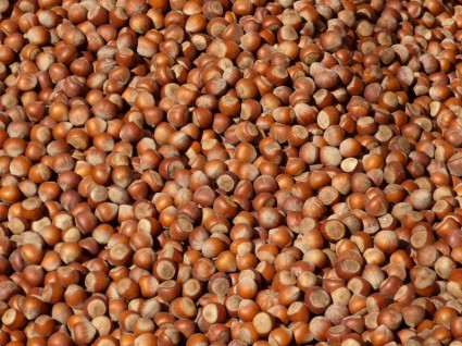 kacang kacang hazelnut