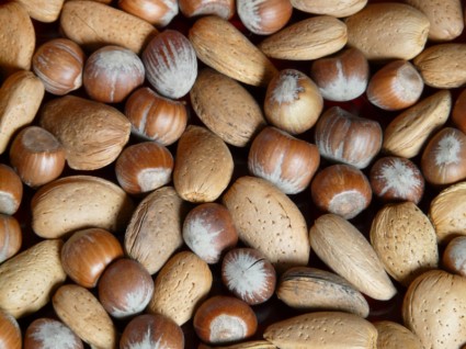 kacang almond hazelnut