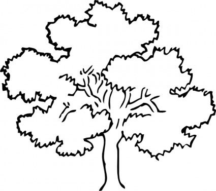 樫の木のクリップアート