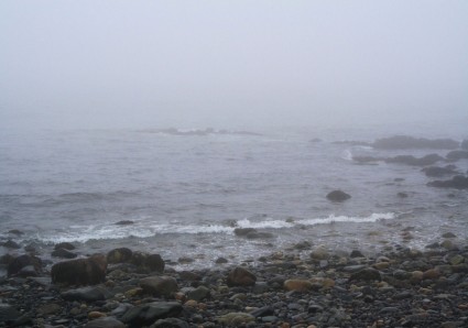 oceanrocks trong sương mù
