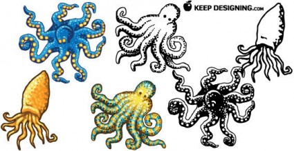 Octopus Design Free Vectors