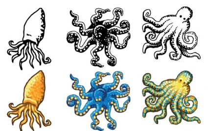 Octopus Design Vectors Free