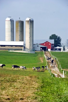 Ohio pertanian pedesaan