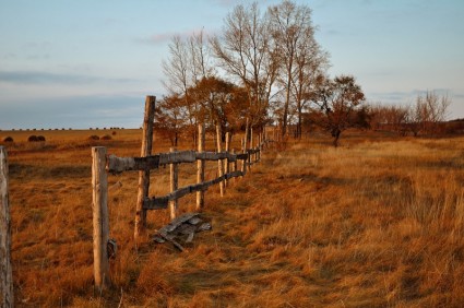 vieille clôture en champ