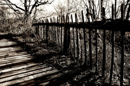 hàng rào gỗ cũ