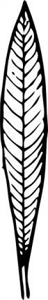 Oleander daun clip art