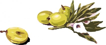 clipart de azeitonas