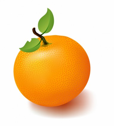 สีส้ม