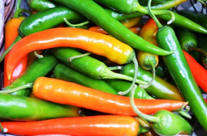 Orange und grüne Paprika-chili