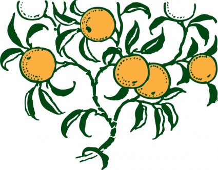 clip art de rama naranja