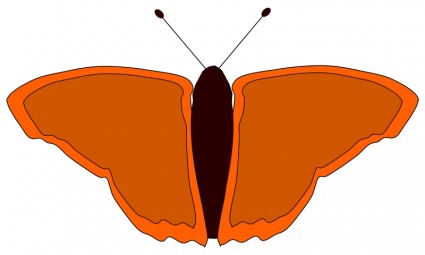 borboleta laranja