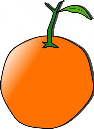 Orange Dave pena