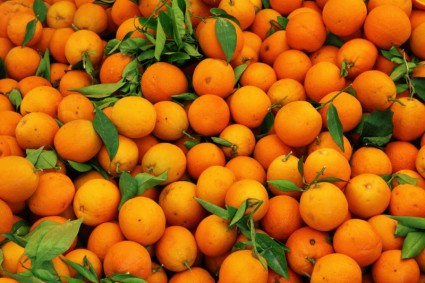 motif de fruits orange