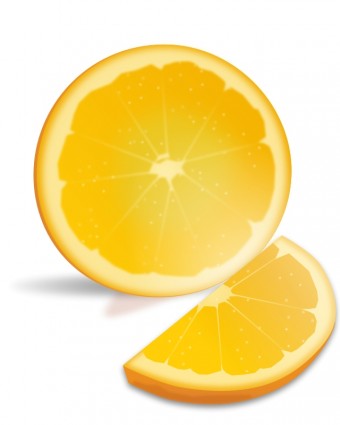 rodaja de naranja
