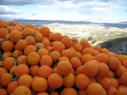 橙色西班牙阳光灿烂