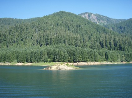 Lac de réservoir pour le cougar Oregon