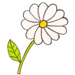 OSD-Blume