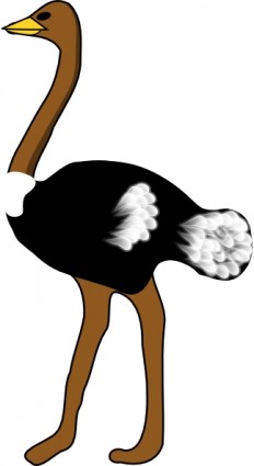 avestruz clip art