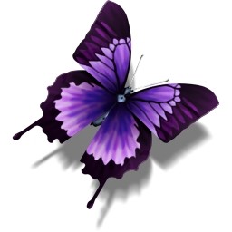 andere Schmetterling