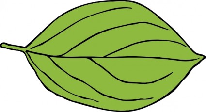 타원형 잎 클립 아트