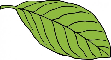楕円形の葉のクリップアート