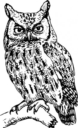 clipart hibou