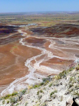 塗装済み完成品砂漠の化石の森国立公園アリゾナ州