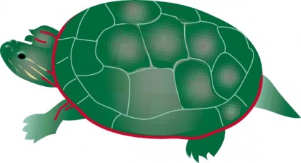 Kaplumbağa küçük resim boyalı