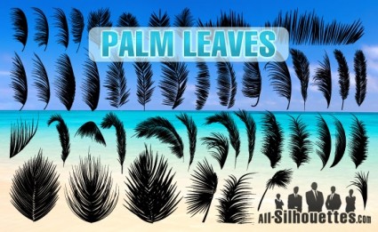 folhas de palmeira