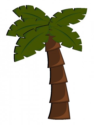 albero di Palma