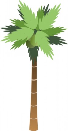 palma albero ClipArt