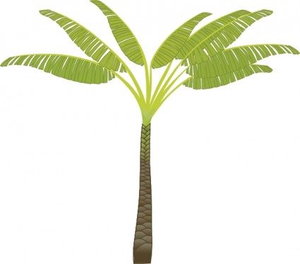 Palm tree clip nghệ thuật