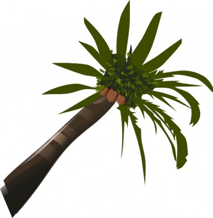 Palm tree clip nghệ thuật