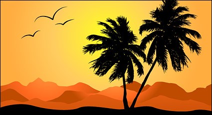 日没の椰子の木