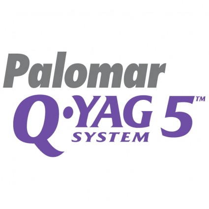 palomar q yag 시스템