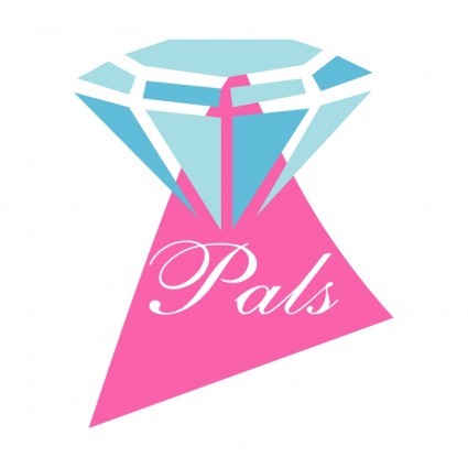 Pals breast enhancers
