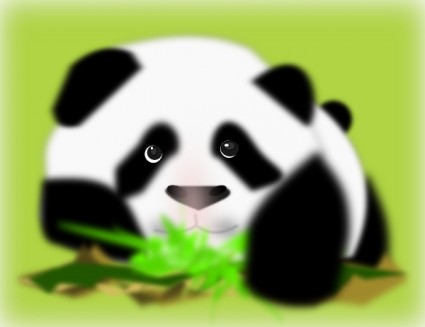 Panda küçük resim