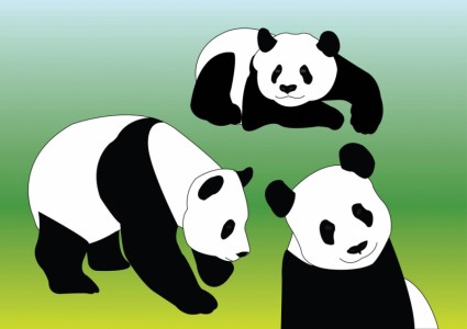 Panda-Vektoren