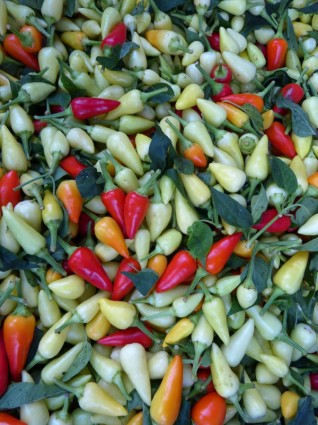 legumes de chouriço de colorau