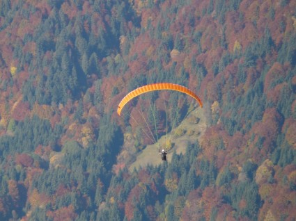 penerbangan terbang paraglider