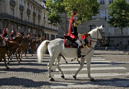 Parigi Francia cavalli