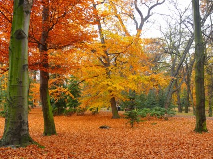 Parco giardino d'autunno